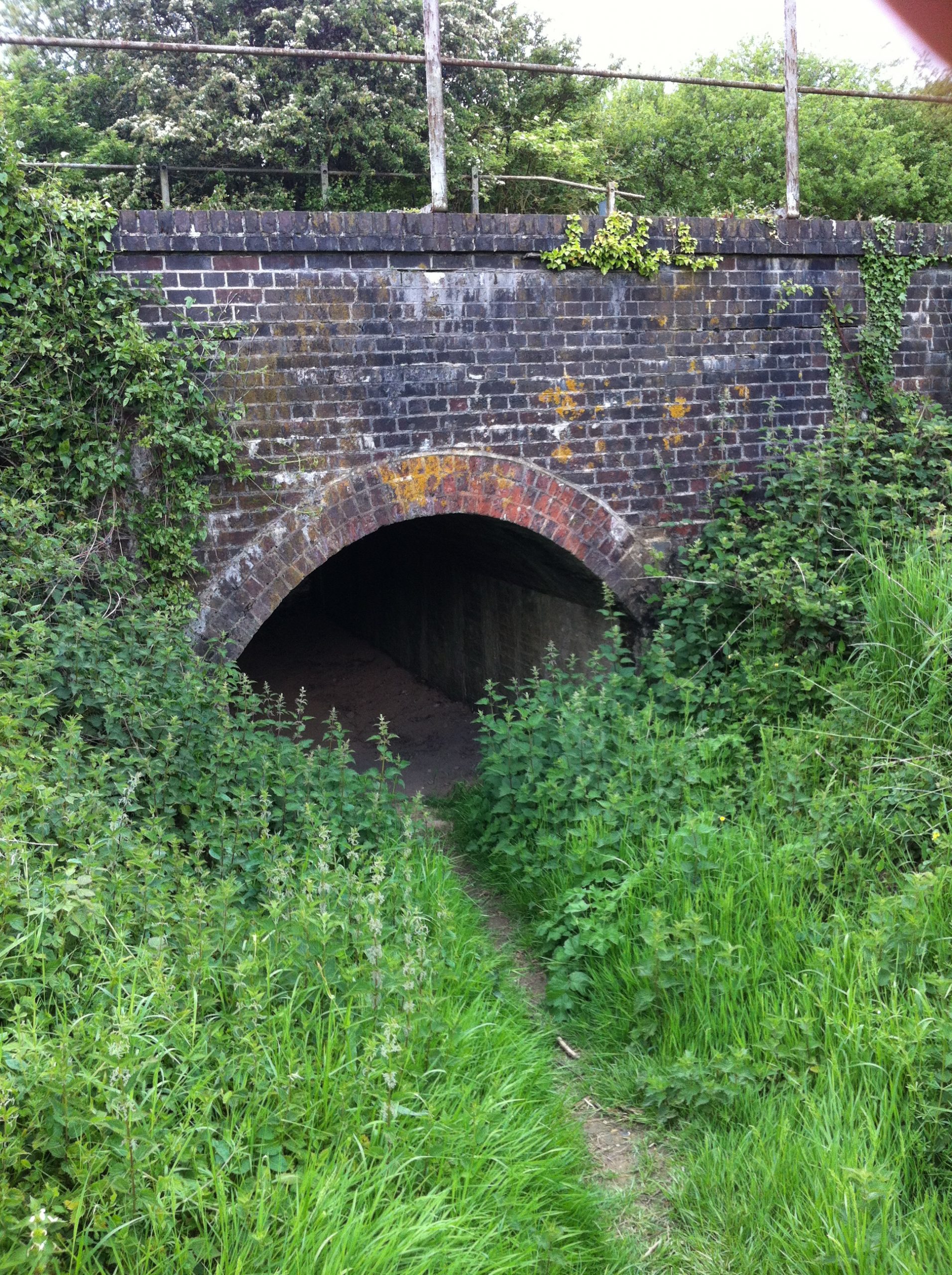 Small arched tunnel under railway line with vegetation encroaching from the sides