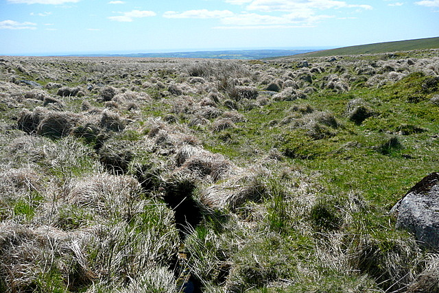 View of slight hollow on Stall Moor, showing rough grass and tussocks, with South Devon visible in distance
